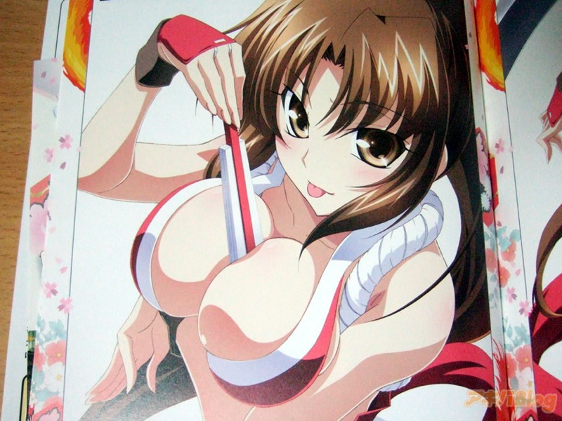 Illustration for article titled Mai Shiranui Ravaged